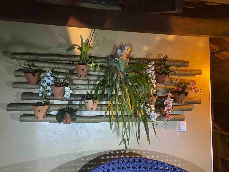 Casa Em -sul Da Ilha Grande *